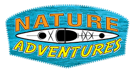 Charleston Kayak Rentals